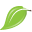 pc-leaf